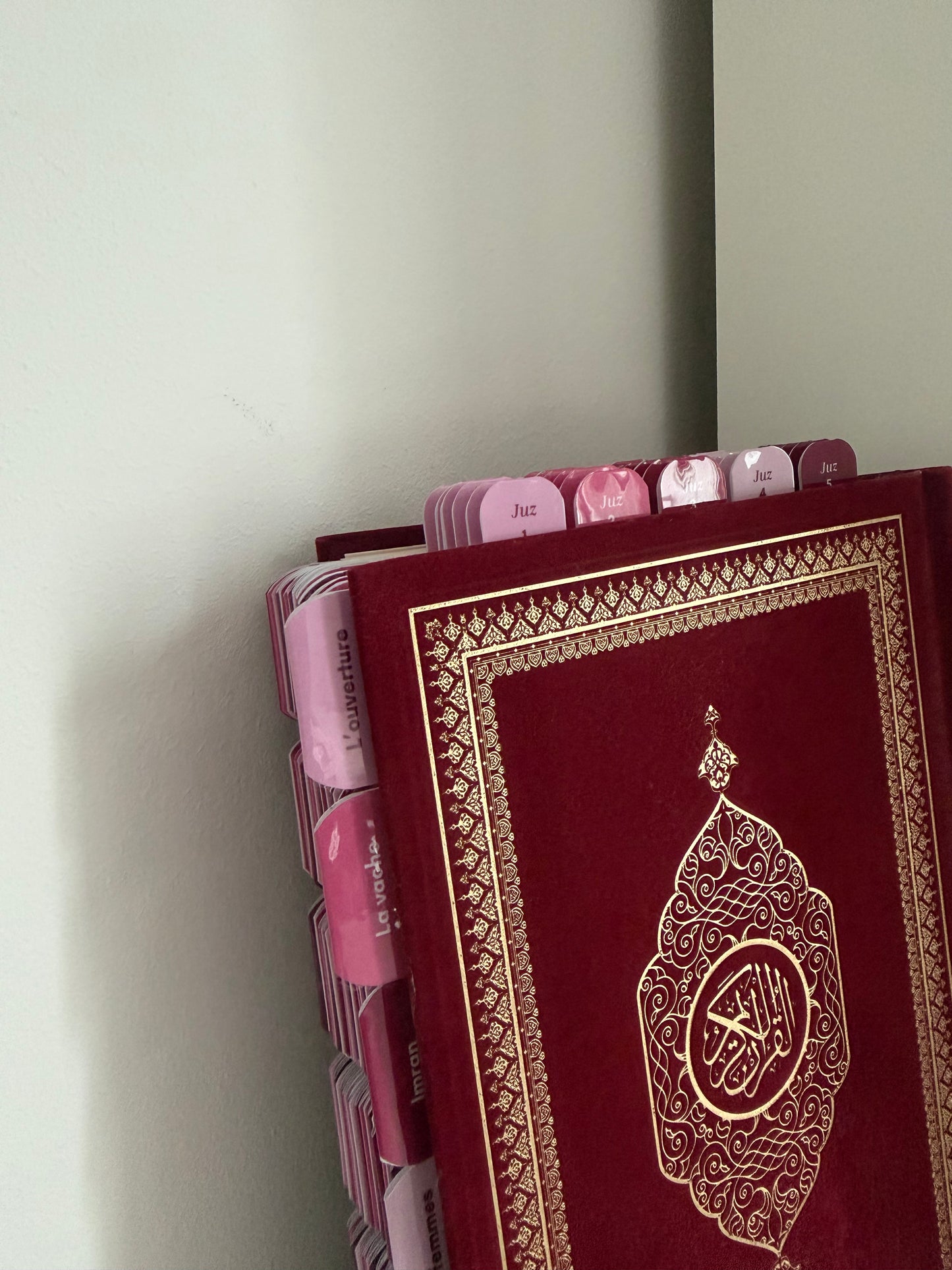 Quran arabe - Fushia